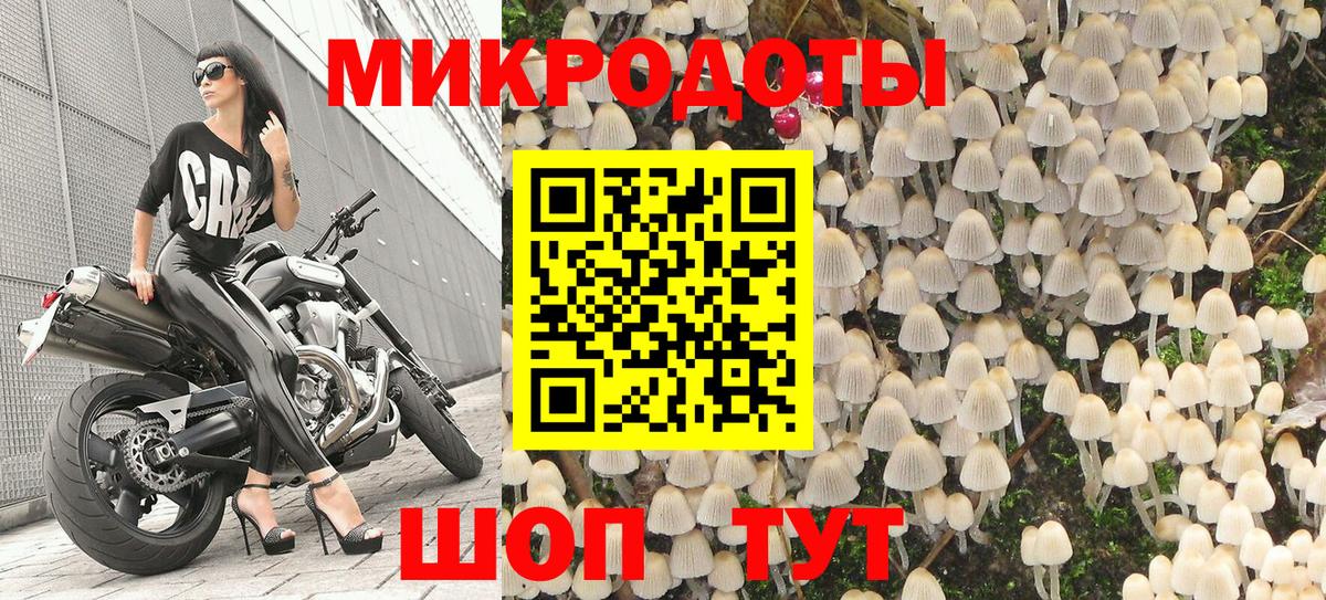 Белебей  Галлюциногенные грибы Psilocybine cubensis  Вход с VPN 