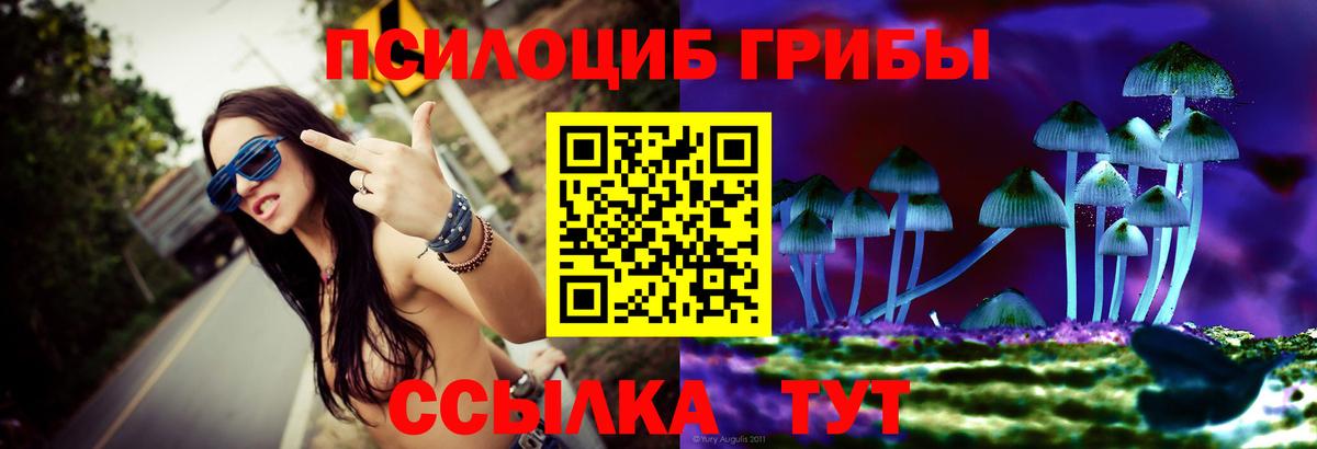Галлюциногенные грибы Cubensis Белебей
